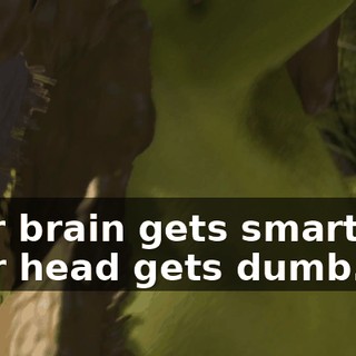 Your brain gets smart but your head gets dumb.