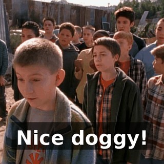 Nice doggy!