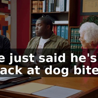 He just said he's a mack at dog bites.