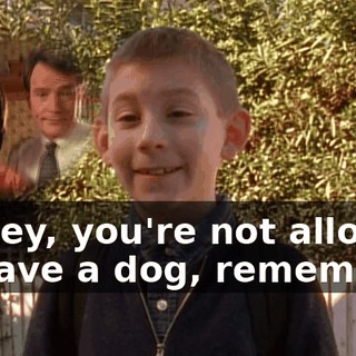 Dewey, you're not allowed to have a dog, remember?