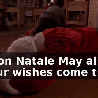 ♪ Buon Natale May all of your wishes come true ♪