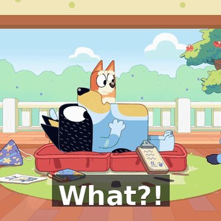 What?!