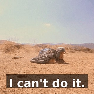 I can't do it.