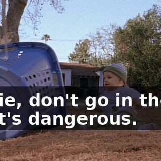Jamie, don't go in there. That's dangerous.