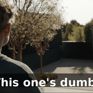 This one's dumb.
