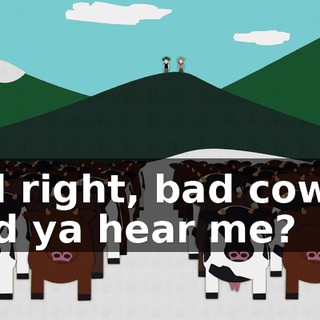 All right, bad cows, did ya hear me?