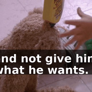 and not give him what he wants.