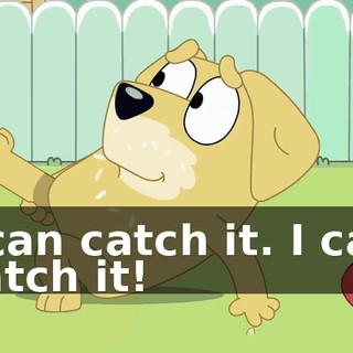 I can catch it. I can catch it!