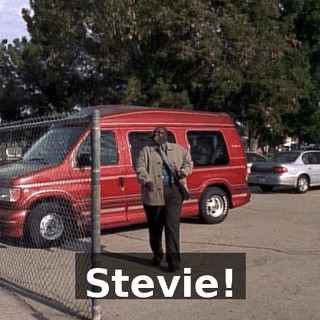 Stevie!