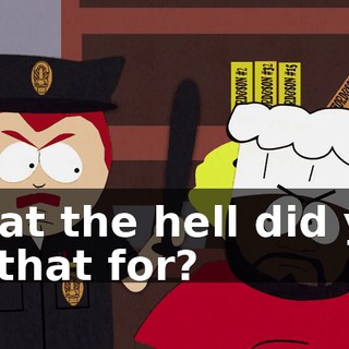 What the hell did you do that for?