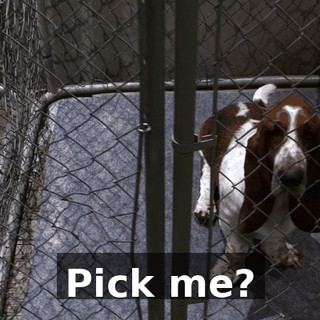 Pick me?