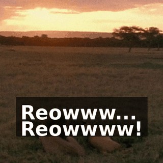 Reowww... Reowwww!