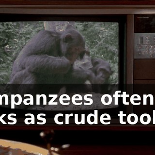 303d8765-7f9f-496d-b109-3a09c32be36a.gif