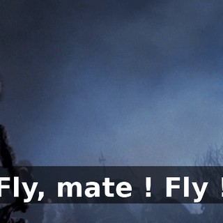 Fly, mate ! Fly !