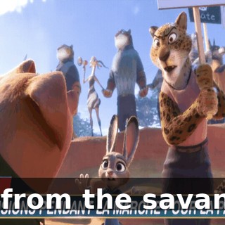 30a15895-4177-40f1-a0b3-0d4c209dde67.gif
