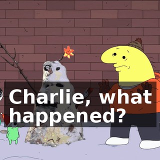 Charlie, what happened?