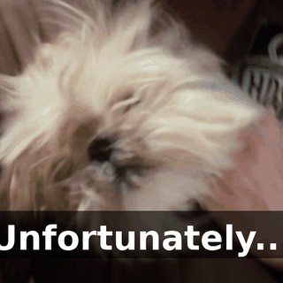314ca053-208e-4414-a63c-8083ab06c45d.gif