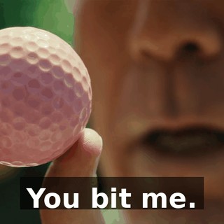 31521143-3970-4b22-b474-5b4ad740835c.gif