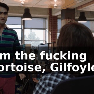 I'm the fucking tortoise, Gilfoyle.