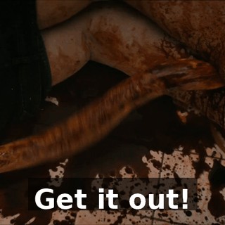31673003-d936-4578-b1ff-bc3df1d26282.gif