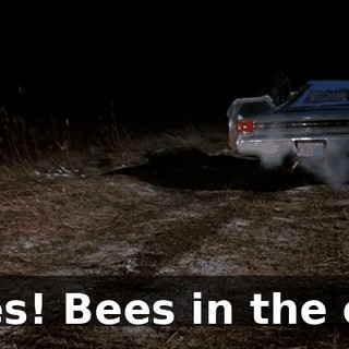 31bb02da-b5ac-4283-8de0-cc43a5fdebde.gif