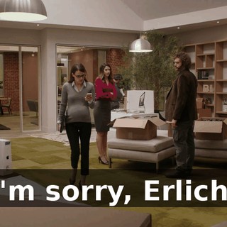 I'm sorry, Erlich.