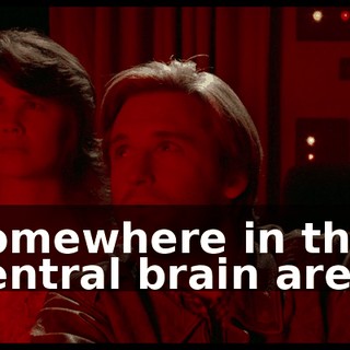 3218e02e-3d53-4d8f-a68f-d1dcb4d6b7d6.gif