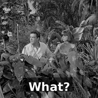 322f4397-965f-4d5a-a809-072d738a9937.gif