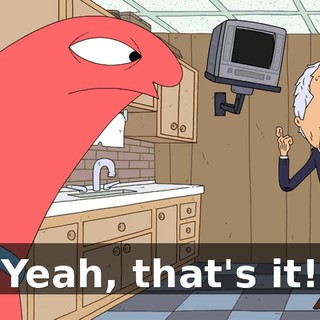 Yeah, that's it!