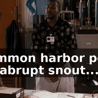 3246fd10-6bd2-4582-bf71-366f9f5999e9.gif