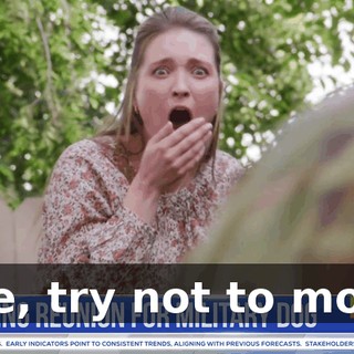 3255f530-c5c9-461c-80ac-05a50913a249.gif