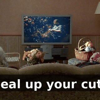 seal up your cut,