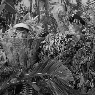 329ac105-0b87-47b0-abab-4846e3319e79.gif