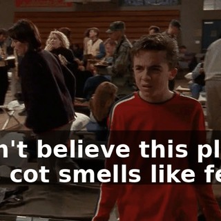 I can't believe this place. This cot smells like feet.