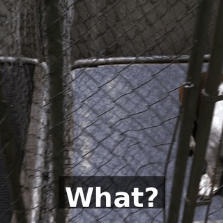 32f6cdc4-0f71-4686-9f0d-cf4c6b5a47dc.gif