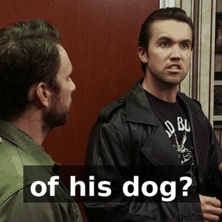 of his dog?