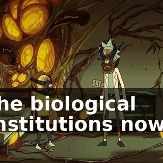 3336ab4c-231b-4dcb-92e4-f1150e8db745.gif