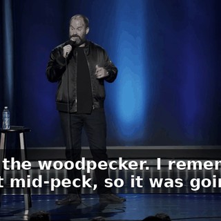 I shot the woodpecker. I remember, I shot it mid-peck, so it was going...