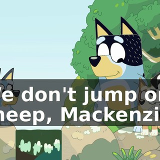 337b61c0-4625-4318-8b48-cd08f8b7adce.gif