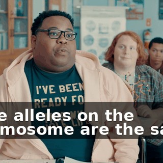 33880125-30fa-4e19-b64d-1e54105aba1e.gif