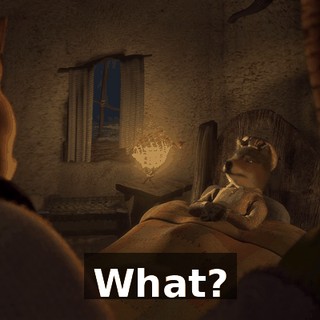 What?