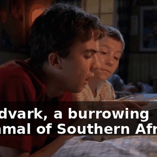 "Aardvark, a burrowing mammal of Southern Africa."