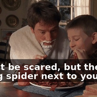 Don't be scared, but there's a big spider next to you.