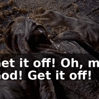 Get it off! Oh, my God! Get it off!