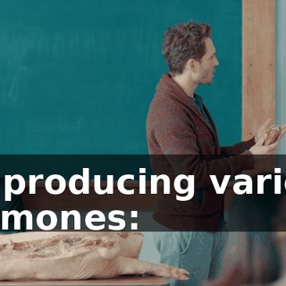 3493d45b-ae4c-428d-9167-1793f0b8b612.gif