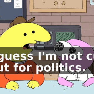 I guess I'm not cut out for politics.