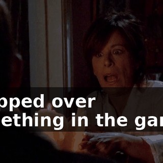 I tripped over something in the garage