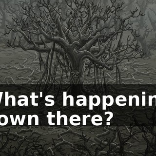 3508ee11-7116-4b9b-b3a5-106d4fb07121.gif