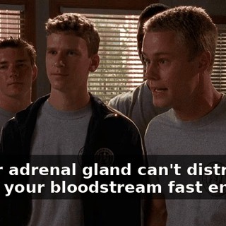 354e146d-9e81-4ae7-b4f6-facd650c005b.gif