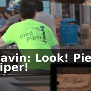 Gavin: Look! Pied Piper!